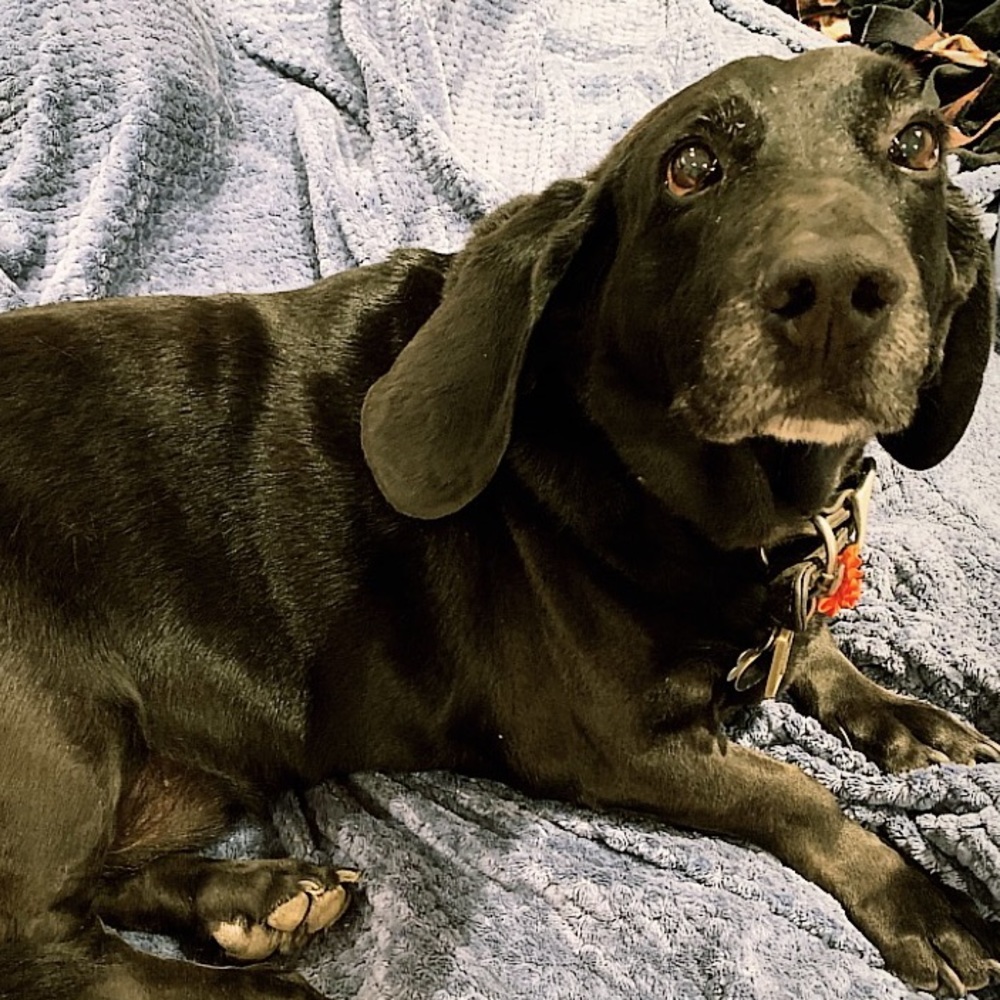 Meet your Posher, Rob